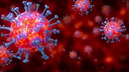 548 нови случаи на Covid-19. Вирусът е регистриран в 9.6% от пробите