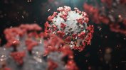 Във Великобритания е открит още един вариант на коронавируса