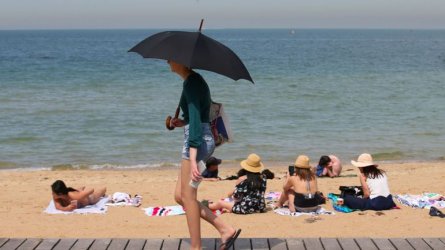 Затвориха австралийски плажове заради акули