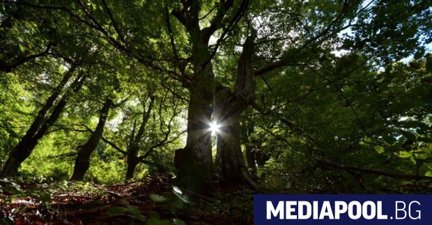 След като общинските съветници от Демократична България алармираха че съдбата