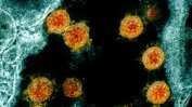 Малките деца произвеждат повече антитела срещу коронавируса