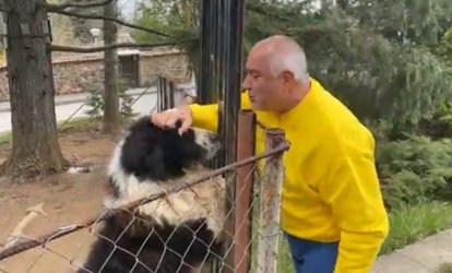 Вместо да говори в парламента, Борисов "чешка" кучето си Борко