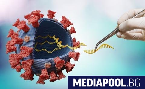 Нов вариант на коронавируса циркулира активно във Франция пише в