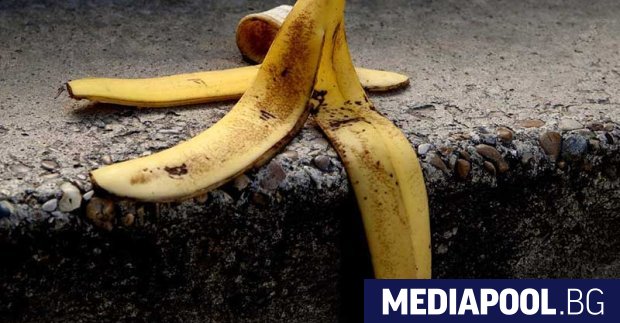 Човечеството може да остане без банани заради силно заразна гъба