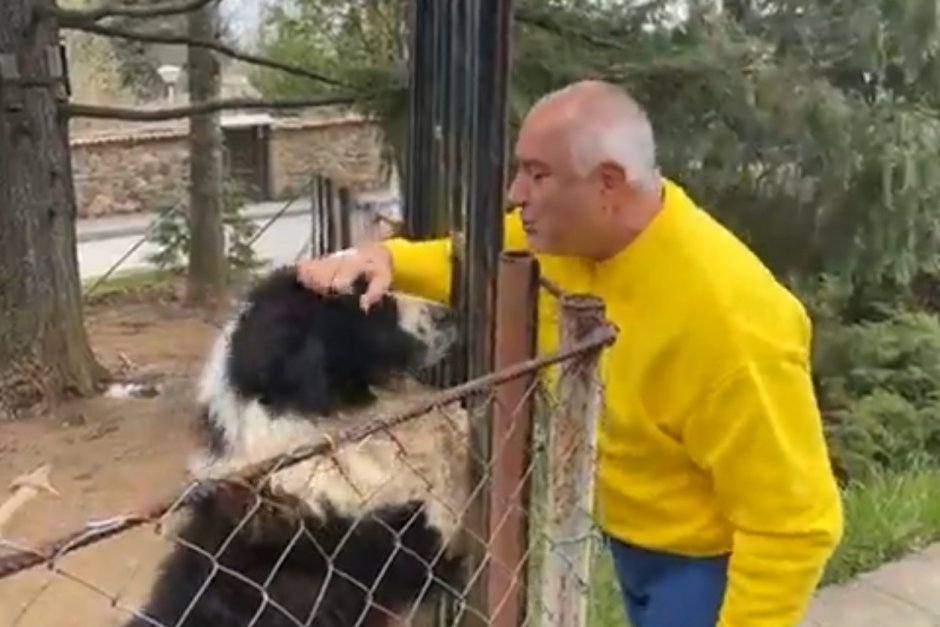 Вместо да говори в парламента, Борисов "чешка" кучето си Борко