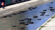 75 стари гуми плуват в река "Слатинска" в София