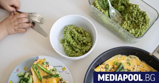 Всеки родител който иска да приготви балансирана храна за децата