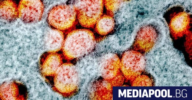 Група учени от университети в Осака и Хокайдо са разработили