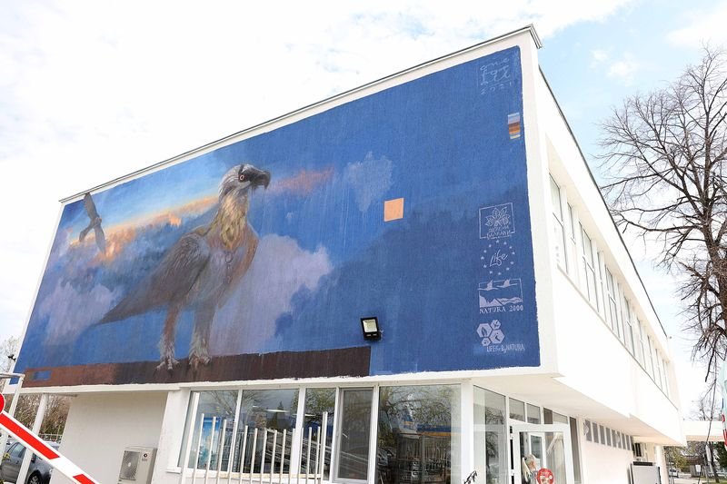 Графит на брадат лешояд "кацна" на фасадата на пловдивското парно