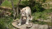 Зоопаркът в София посреща 133 години през май