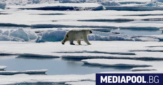 Световните лидери всички страни да се включат в усилията за