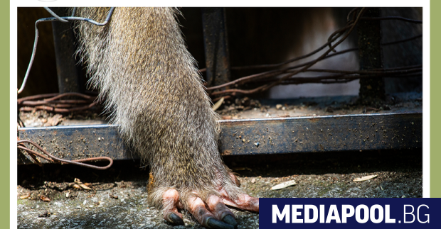 Екоминистерството ще оказва пълно съдействие за решаването на проблемите на