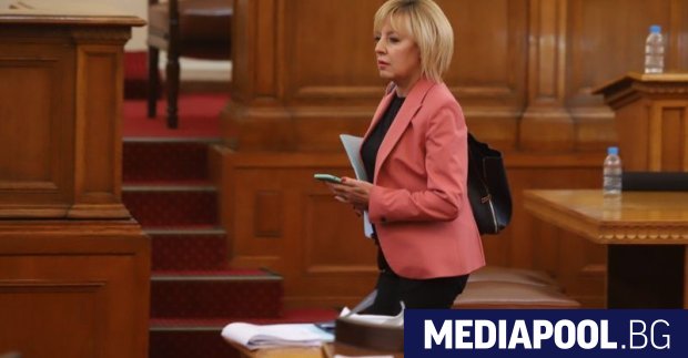 Бившият омбудсман и ексдепутат от БСП Мая Манолова иска да