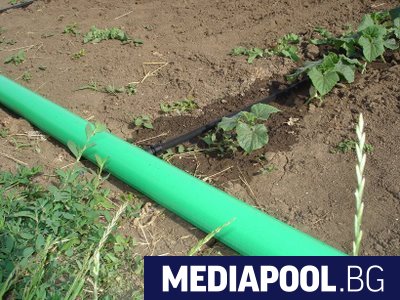 Земеделският министър Христо Борисов възложи извършването на одит над държавната