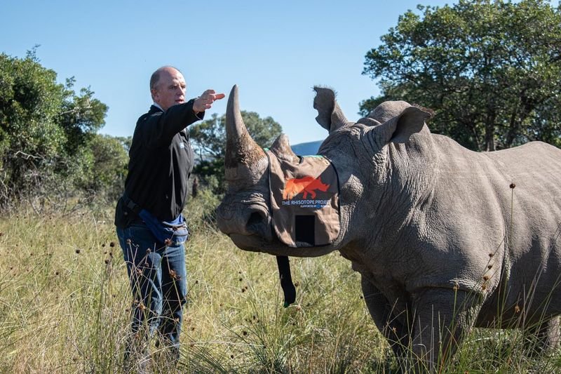 Изотоп в рога ще пази носорозите от бракониери