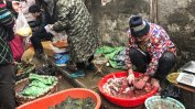 Изследване установи, че на пазарите в Ухан не са се продавали прилепи и панголини