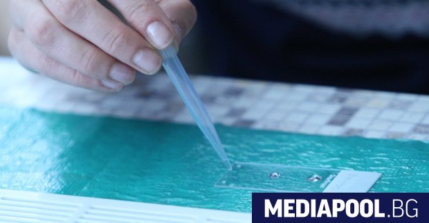 Новите случаи на коронавирус у нас за изминалото денонощие са