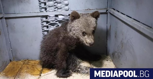 До края на годината България ще има актуализиран план за