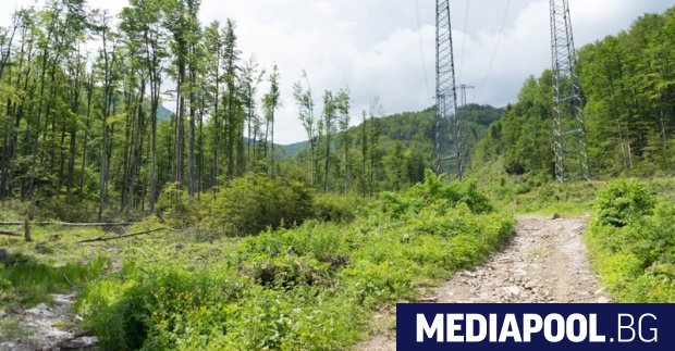 Защитени ливади блокират изграждането на тунел под прохода Петрохан Това