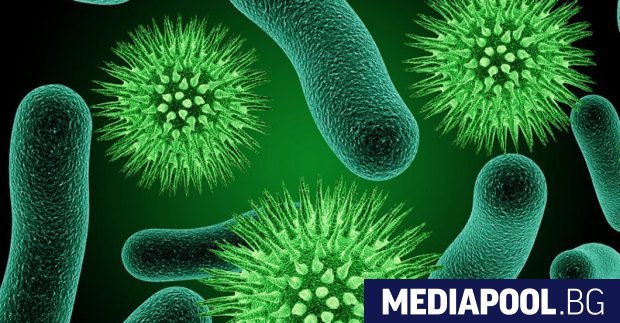 Националният център по заразни и паразитни болести НЦЗПБ съобщи за