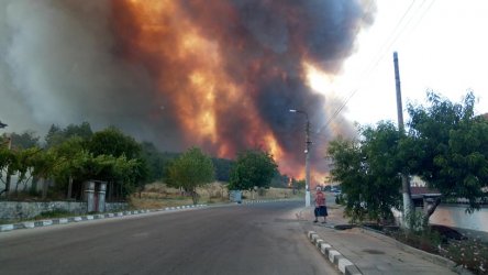 Пожарът край Старосел