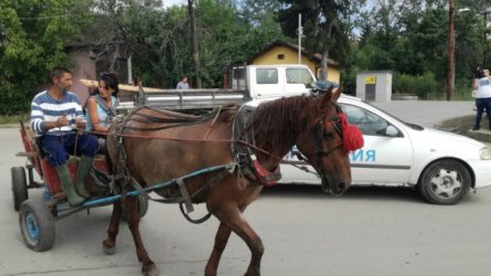 Сн. БНР