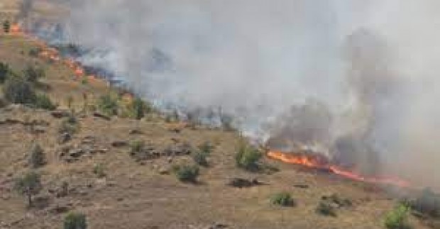 Пожарът край санданското село Петрово, при който загинаха двама горски