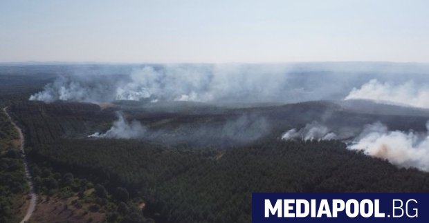 Големият горски пожар в Сакар планина е овладян Още има