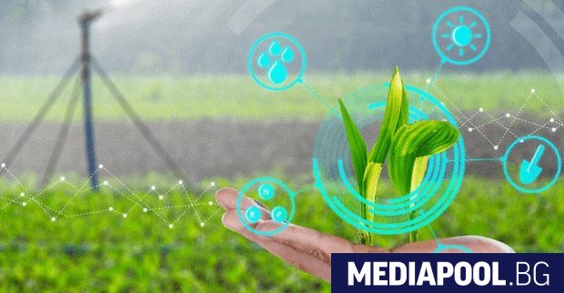 Вместо дъжд от милиони левове за възстановяване на напояването в