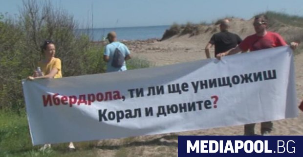 Дългата битка на природозащитниците за запазване на малкото останали диви