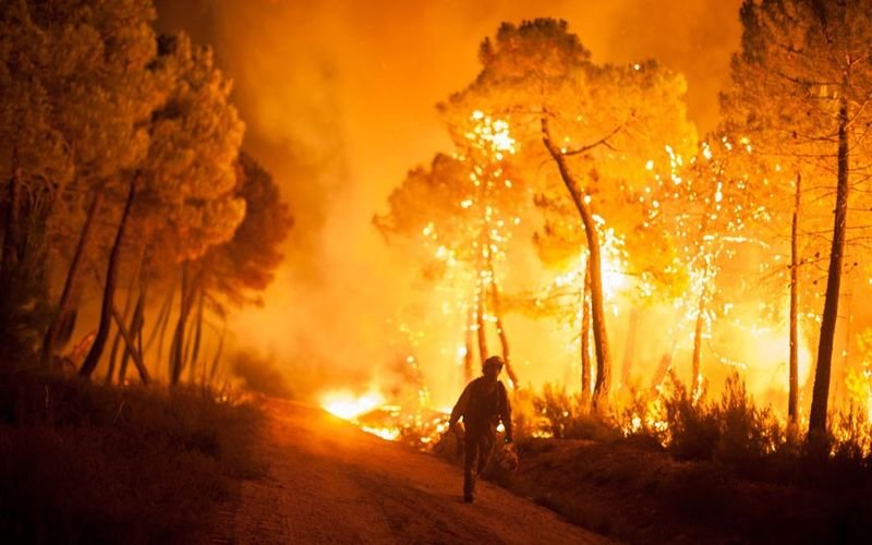 Пожарът край гръцкия град Патра продължава да бушува