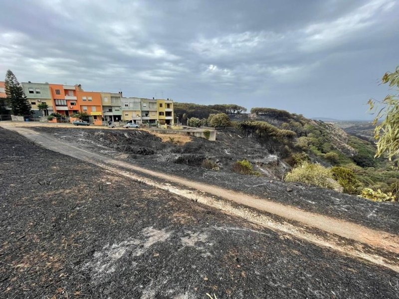 Горските пожари в Сардиния изпепелиха 20 000 хектара