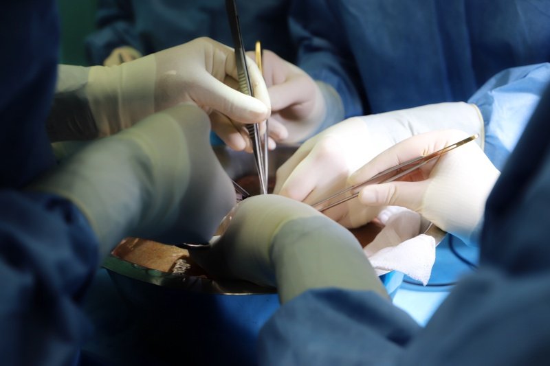 15-годишен донор даде шанс за живот на петима нуждаещи се от трансплантация