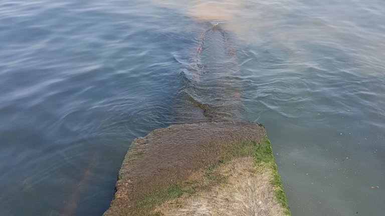 Фекални води продължават да се изливат незаконно в морето край Синеморец