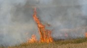 Голям пожар край Благоевград. Горят житни ниви и лозя