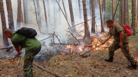 Дъждът не е загасил пожара над Югово