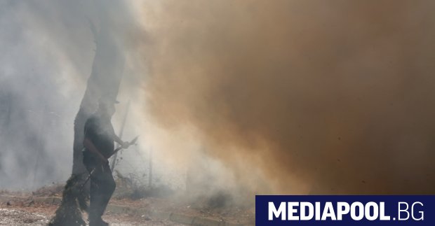 Гърция е обхвана от стотици горски пожари като силният вятър пречи