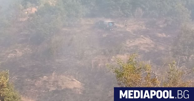 Законните наследници накрай санданското село Петрово служители ще получат по