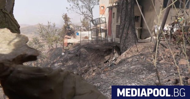 Горските пожари подсилвани от топлите ветрове се разпростират днес из