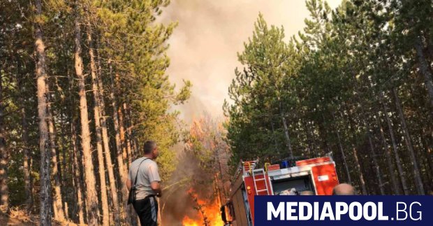 Пожарът който гори в Рила е засегнал 15 декара борова