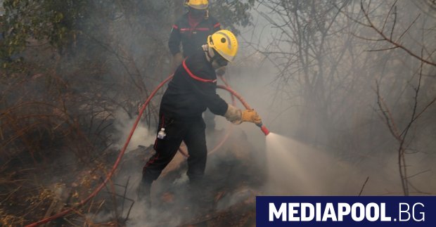 Продължава потушаването на бушуващите пожари в Гърция и Турция Жителите