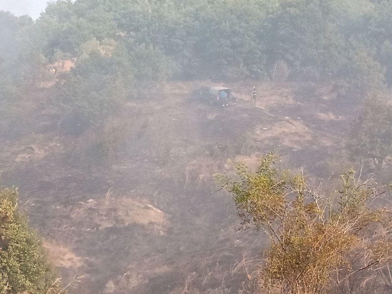 Помощ по 15 хил. лв. за наследниците на загиналите в пожара лесничеи