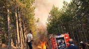 Пожарът в Рила завзе 15 дка гора