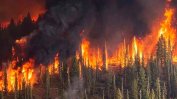 Димът от пожарите в Сибир е достигнал Северния полюс