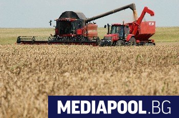 Рекордни добиви от пшеница 7 16 млн тона са произведени