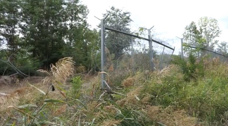 Оградата по границата изпочупена, срязана, обрасла с дървета и вече отговорност на МВР (видео)
