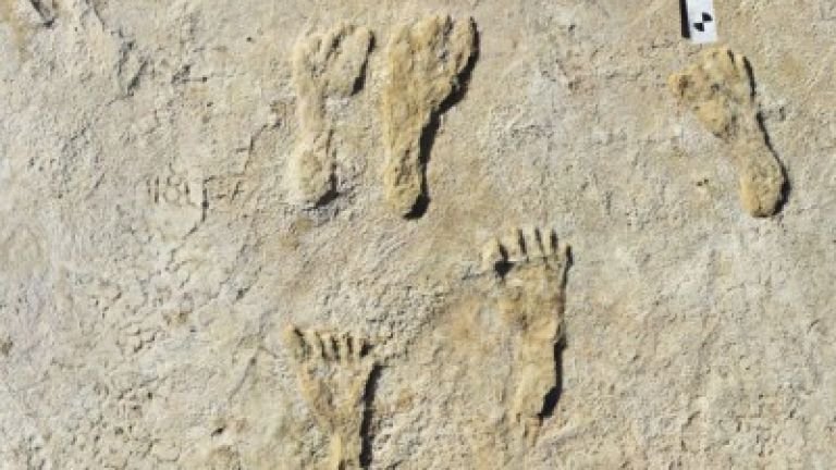 Отпечатъци, датиращи отпреди около 23 000 години, пренаписват човешката история на Америка