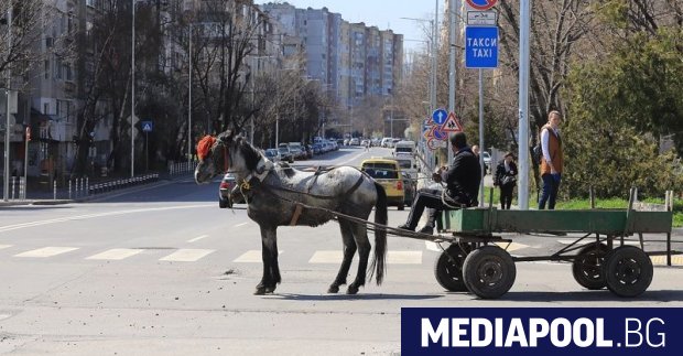 Управляващото мнозинство в градския парламент на София готви тотална забрана