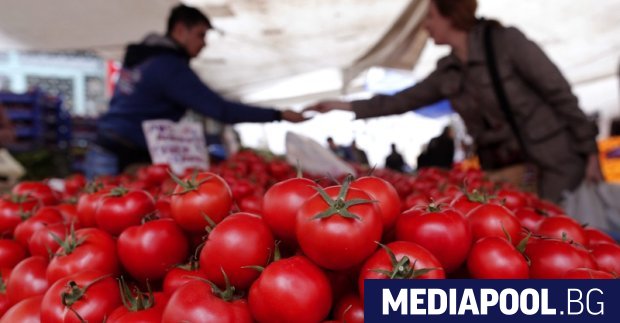 Турция ще отглежда домати при температури до 35 градуса под