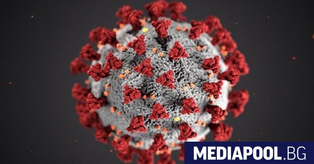 Регистрирани са нови 3471 случая на коронавирус за последното денонощие